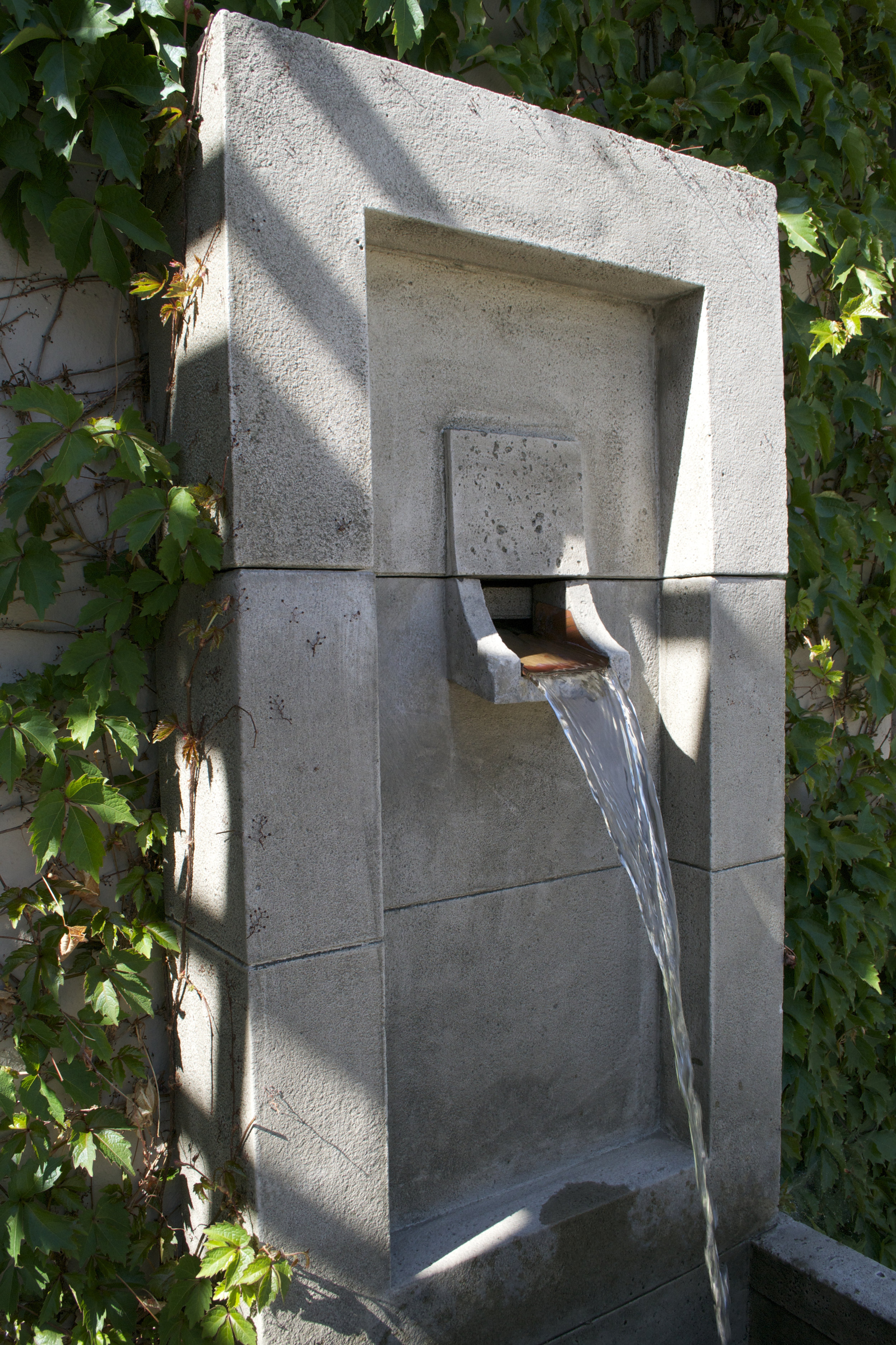 DSC_7072.jpg