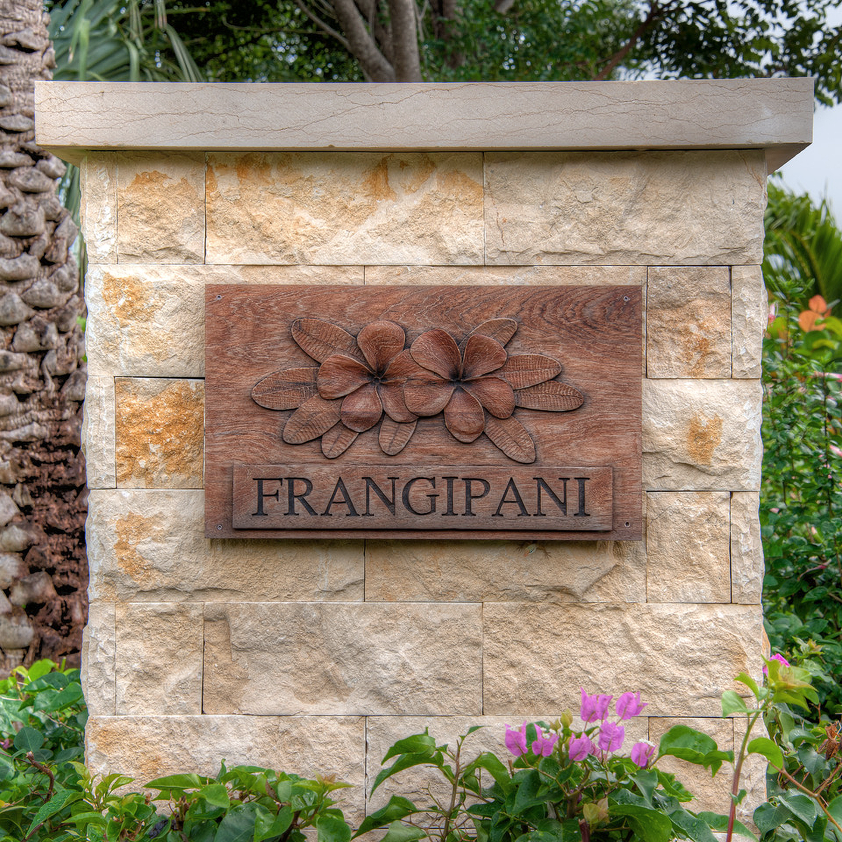 Frangipani 00A.png