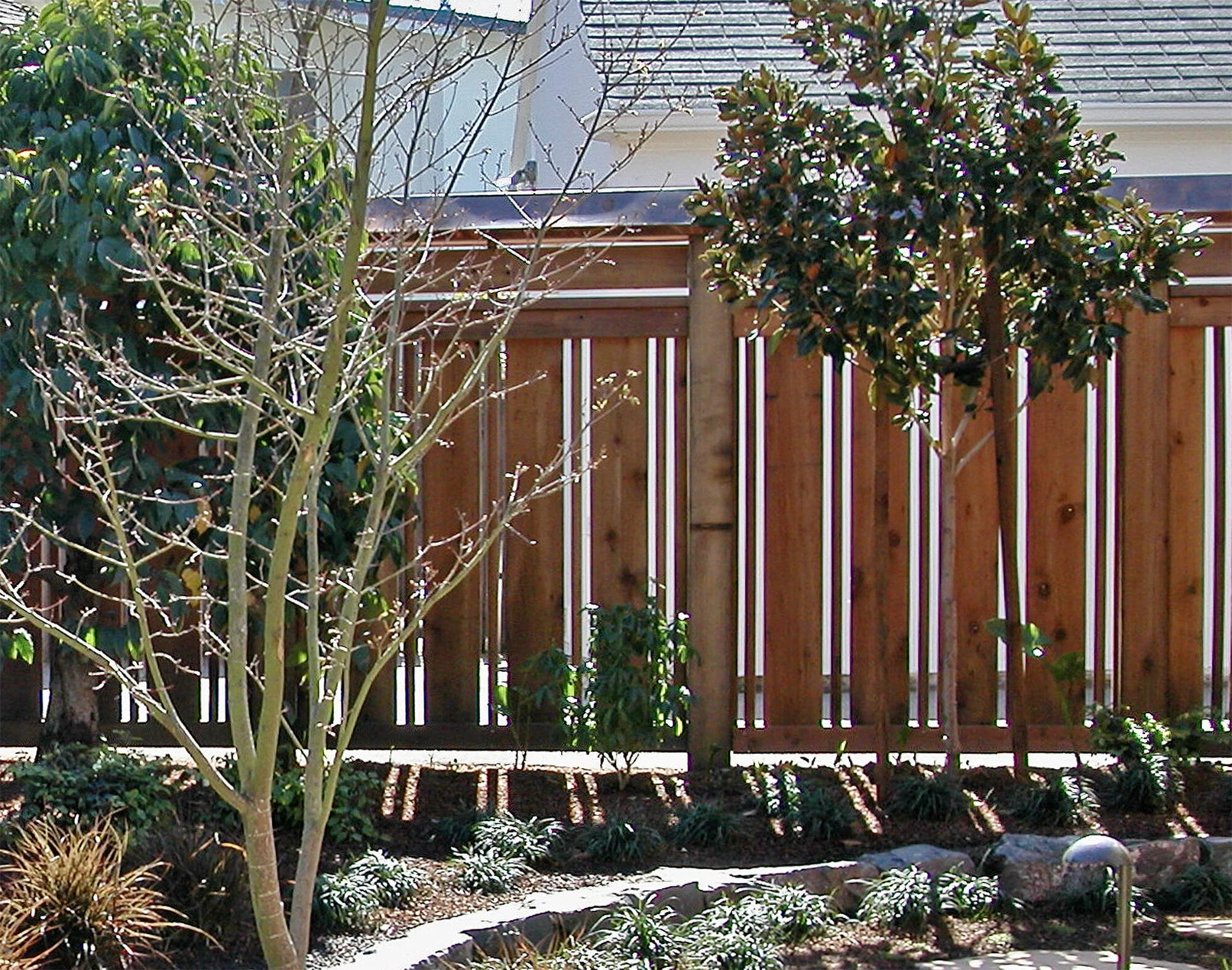 DSCN1953_v2.jpg