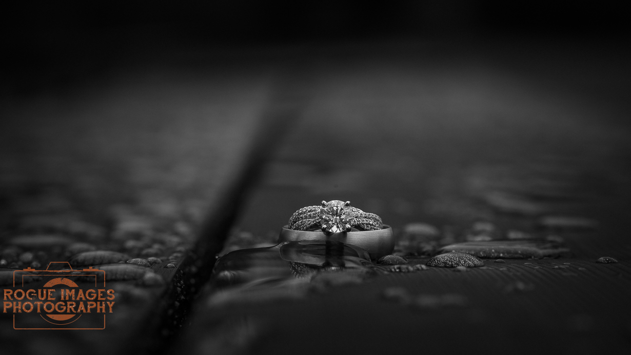 5D3_1760-3.jpg