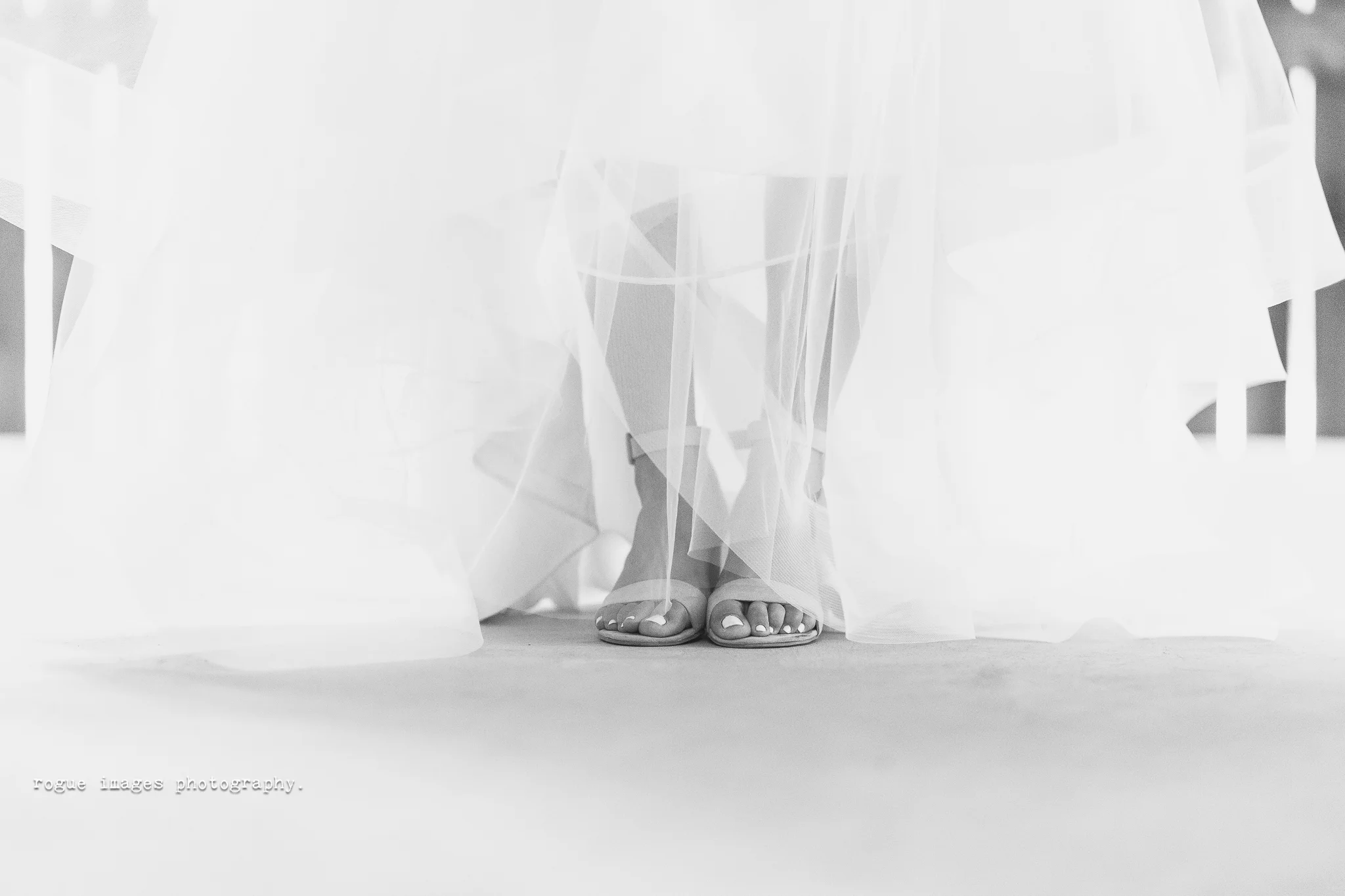 5D3A4277-2.jpg