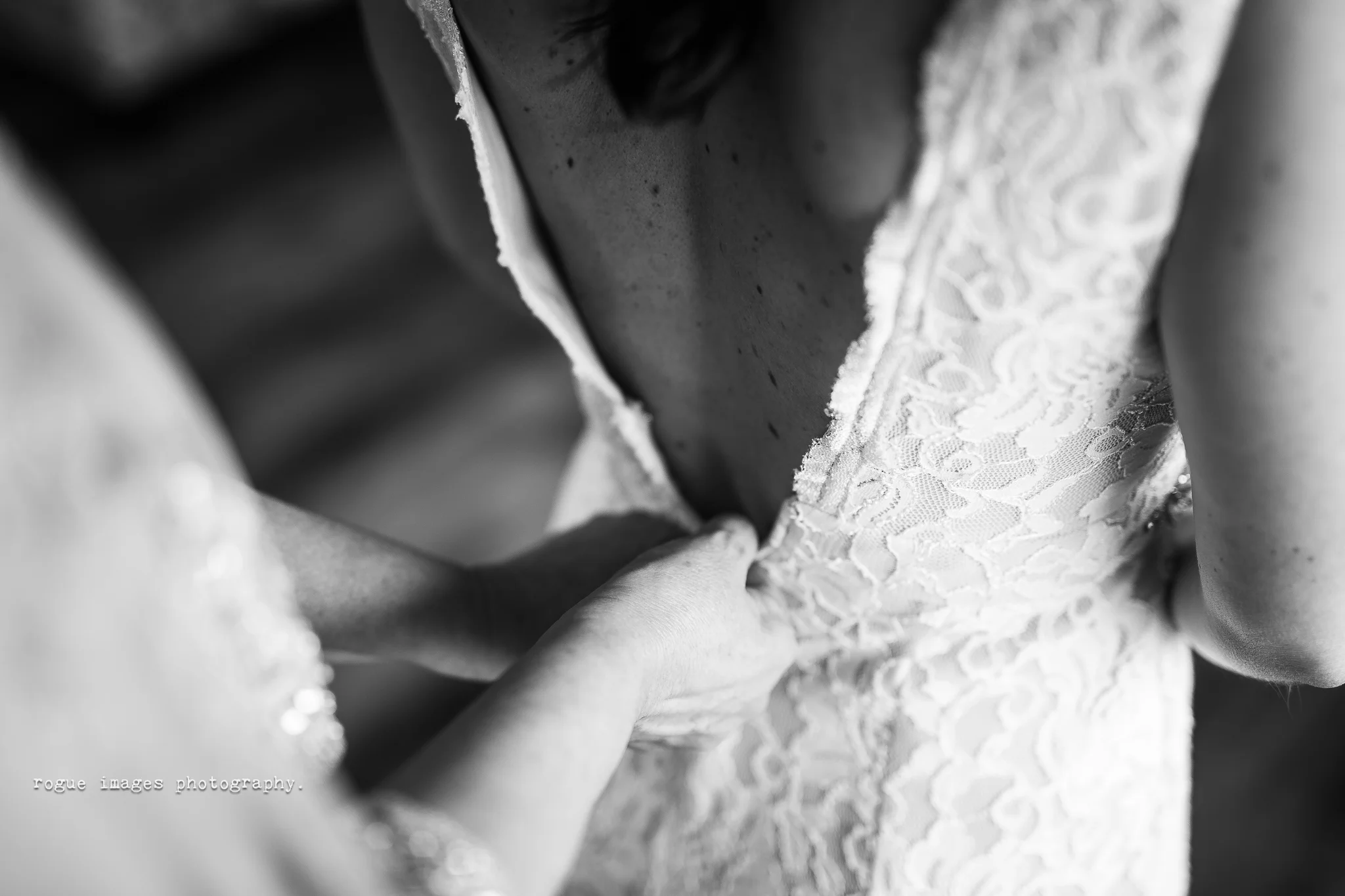 5D3A6436-3.jpg