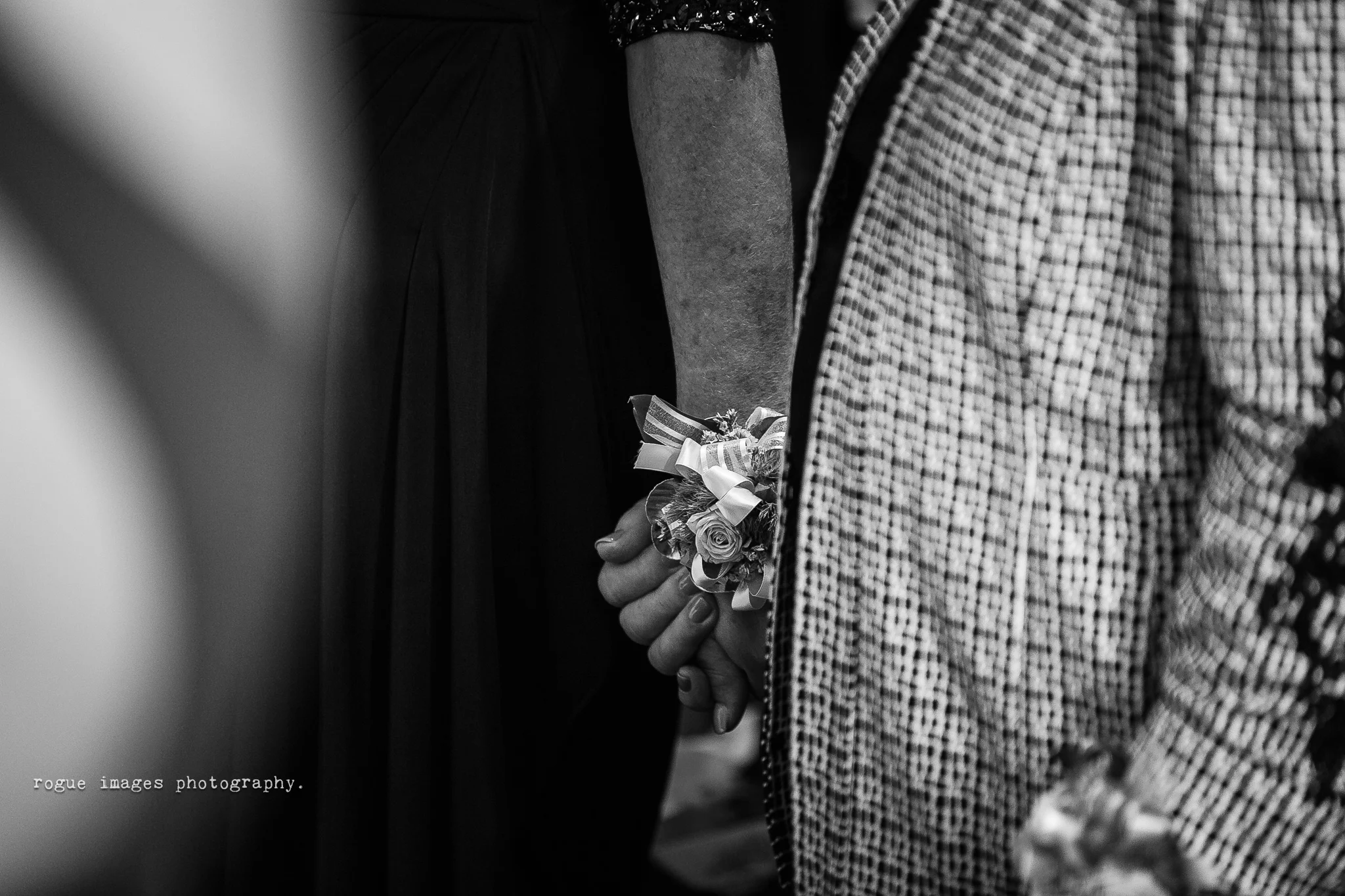 5D3C5005-3.jpg