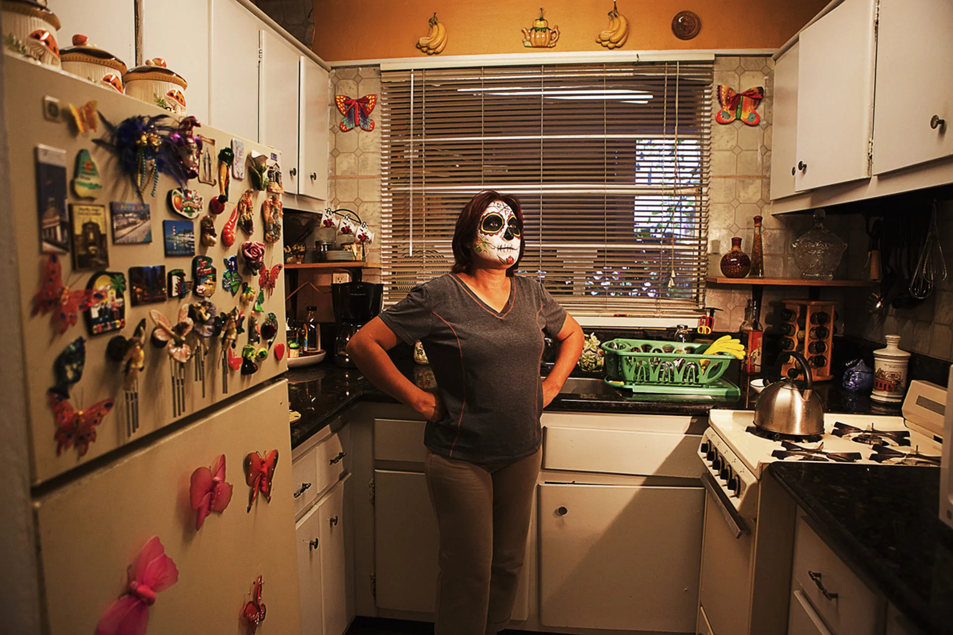 2015 Fiscal Sponsorship Program Selection