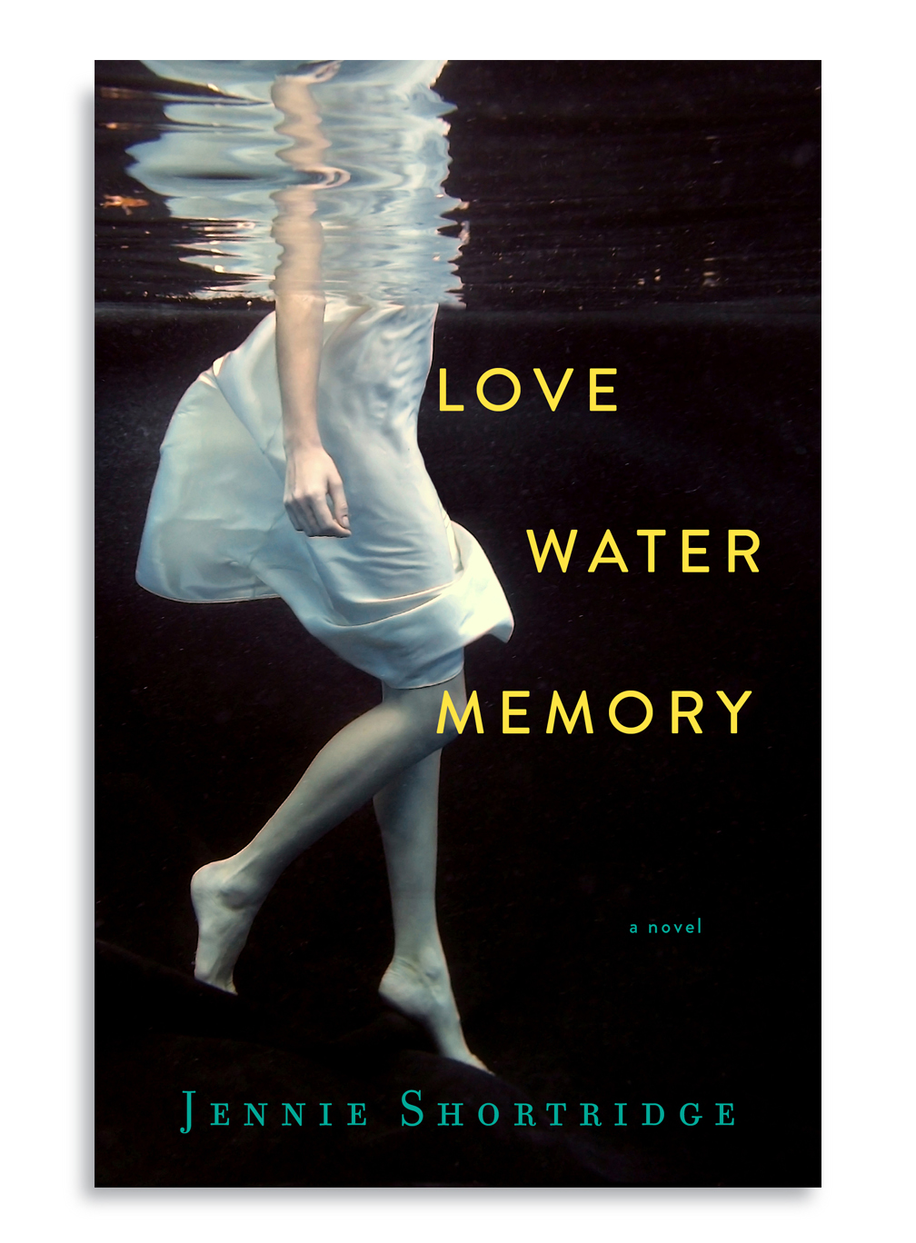 Love_Water_Memory.3d.jpg