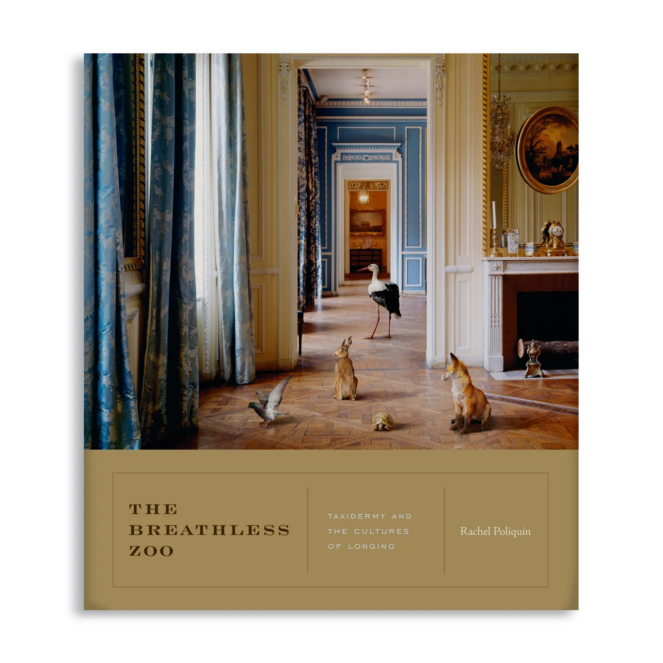 see interior design 2013 AAUP Book, Jacket, & Journal Show: Jacket Selection