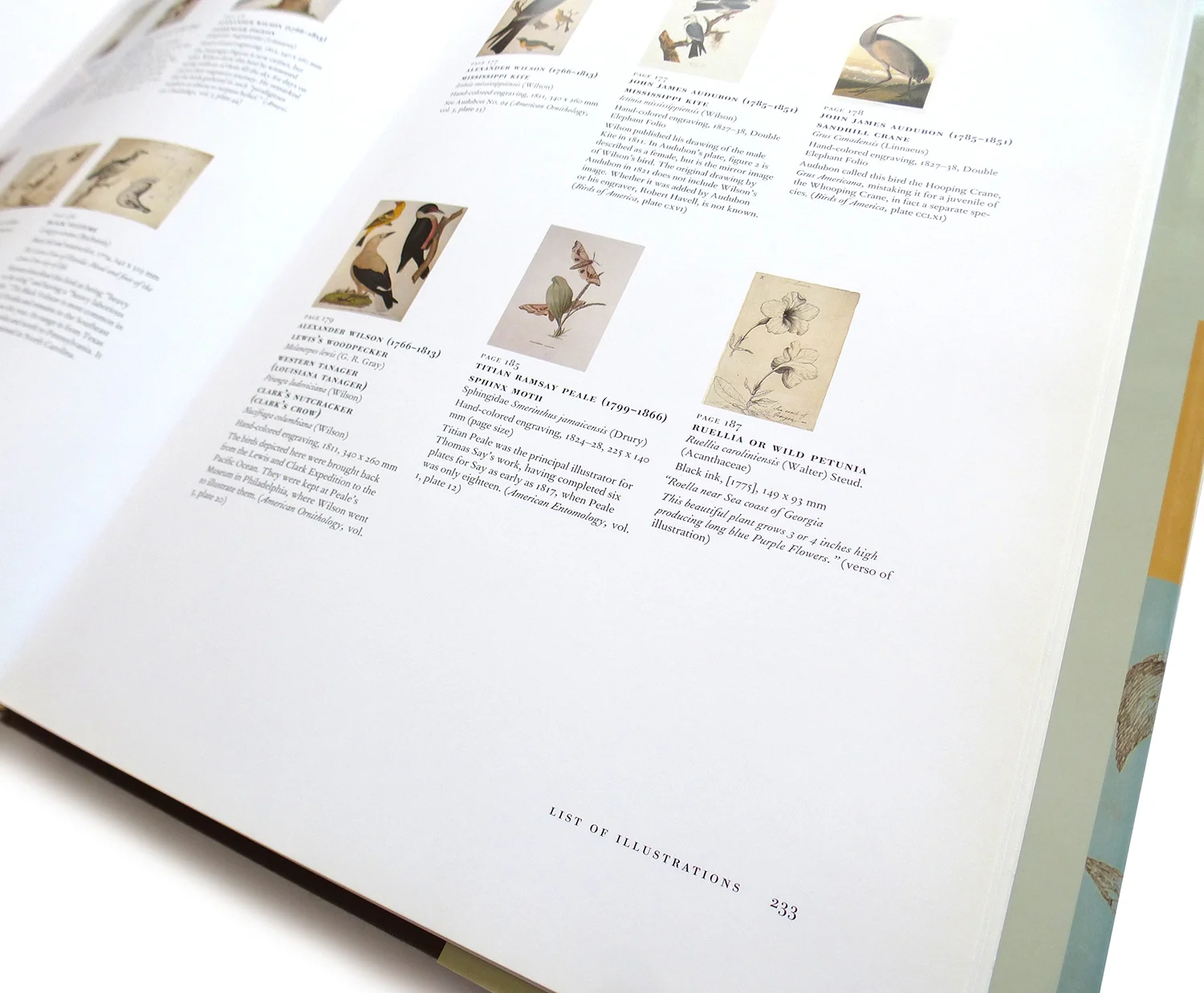 2008 AAUP Book, Jacket, & Journal Show: Interior Selection