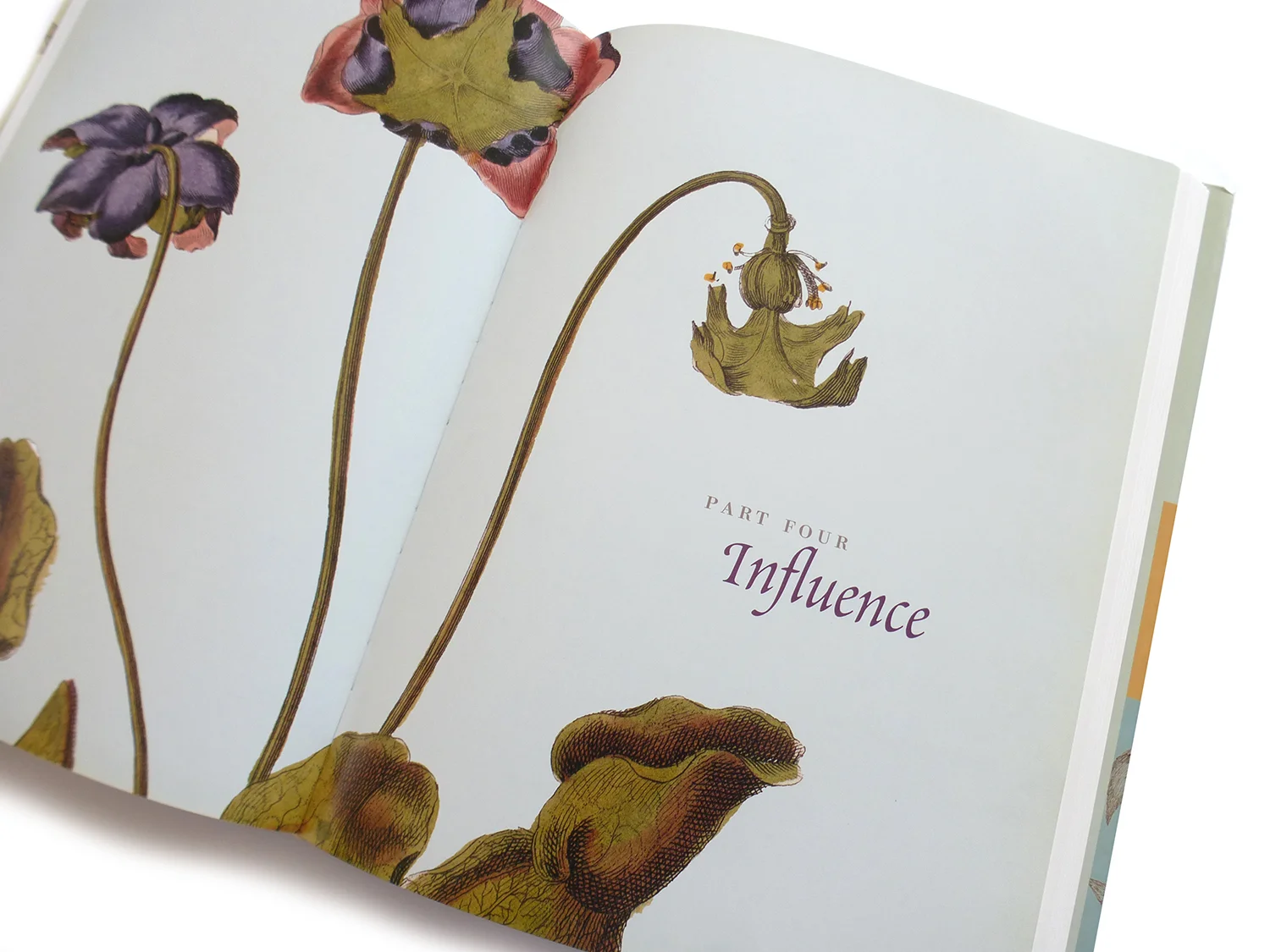 2008 AAUP Book, Jacket, & Journal Show: Interior Selection