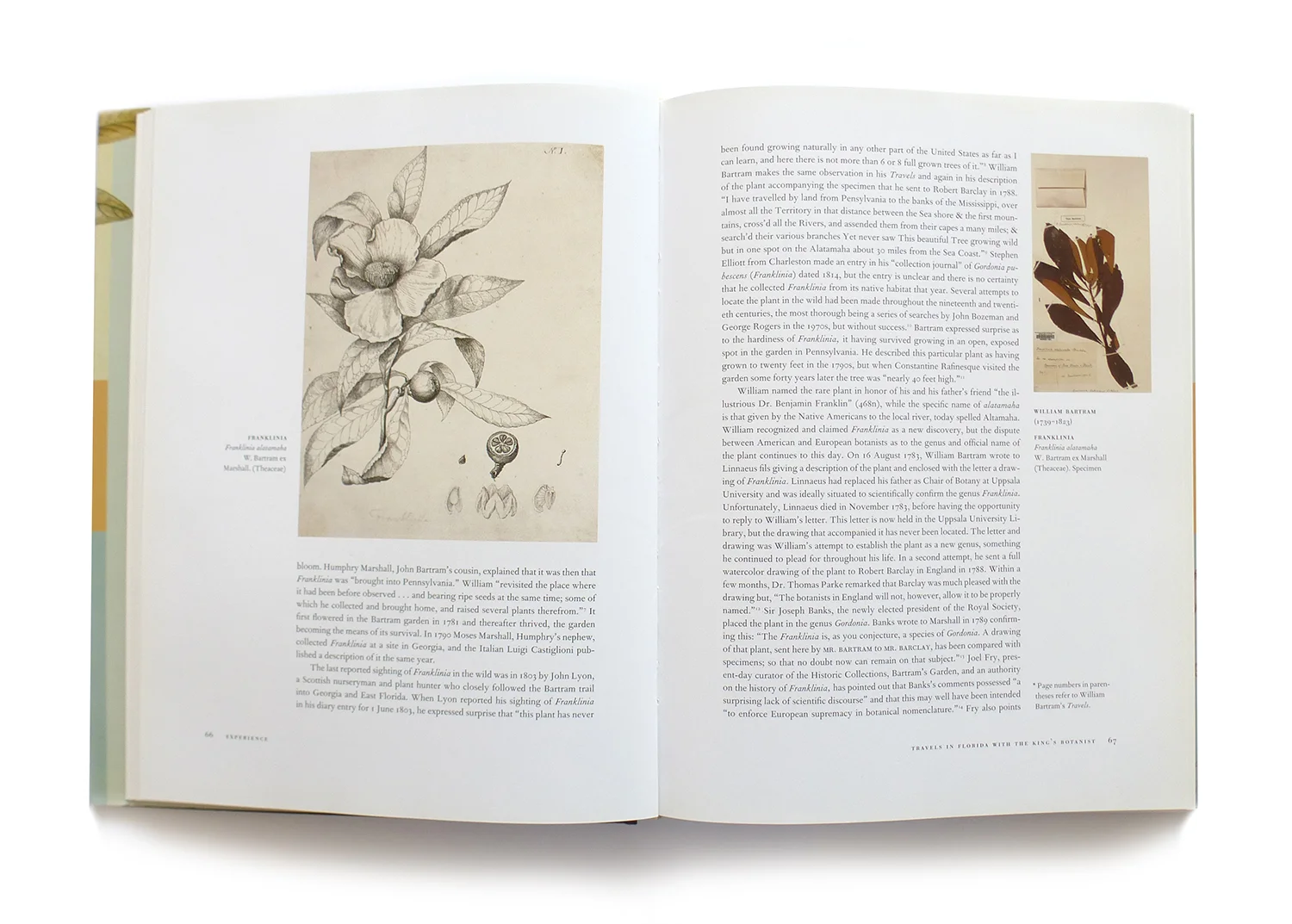 2008 AAUP Book, Jacket, & Journal Show: Interior Selection