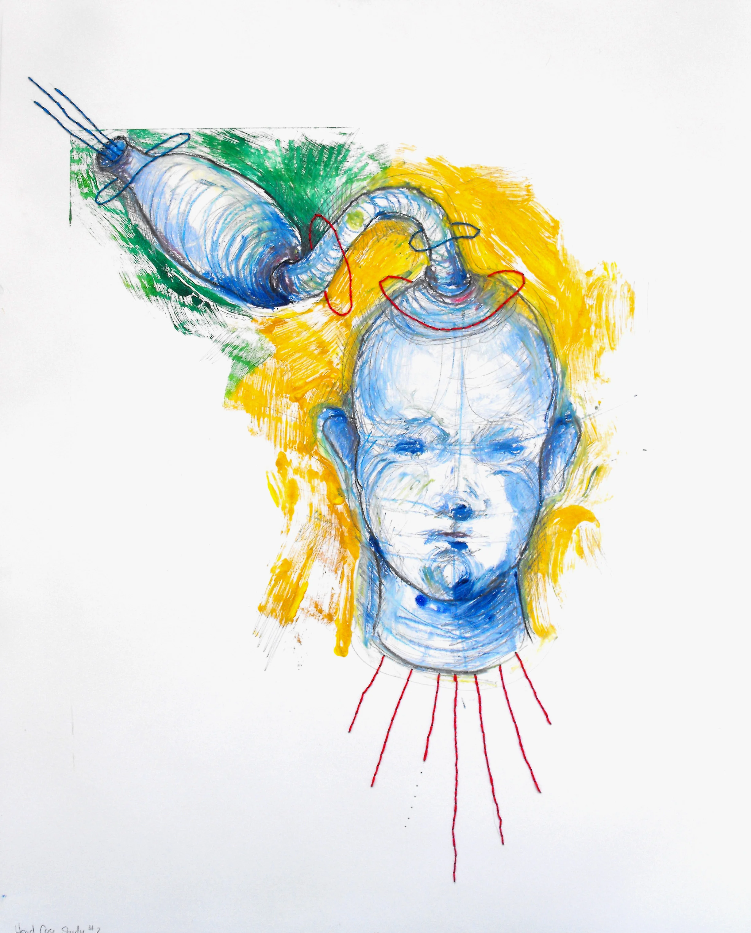 Head Case, Study #2 2012