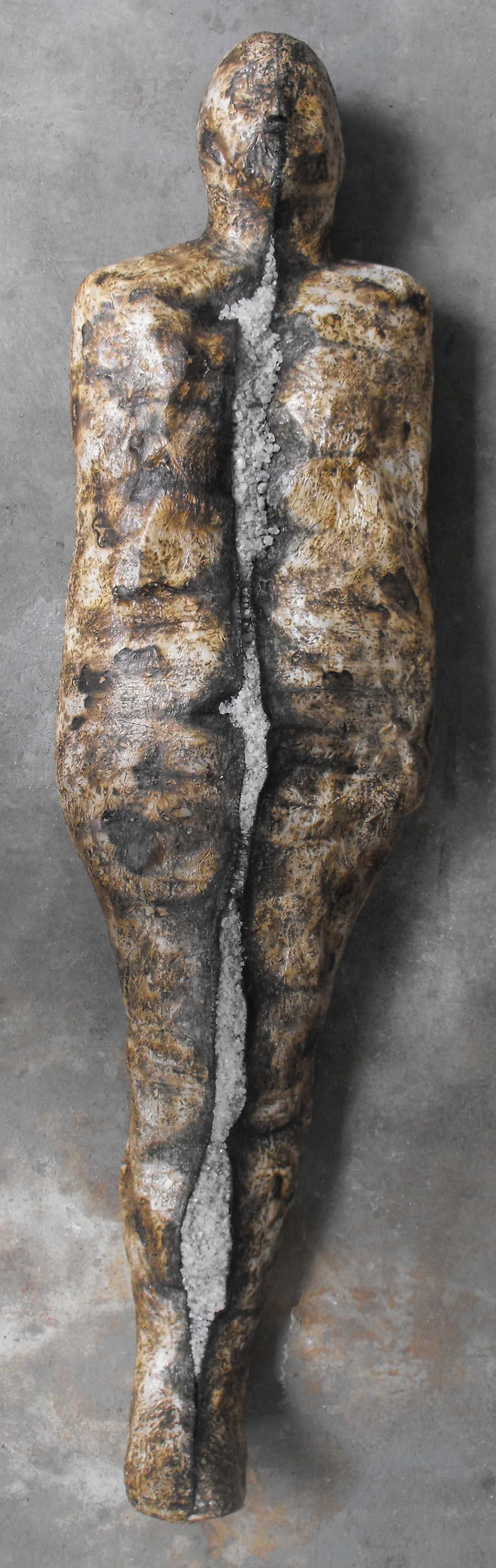 figure whole1(smaller file).jpg
