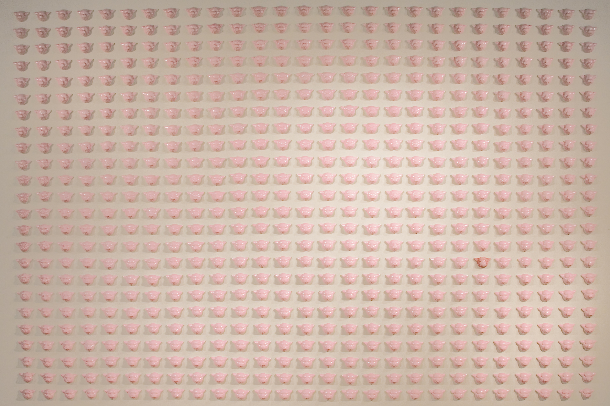 Little Pigs 2009