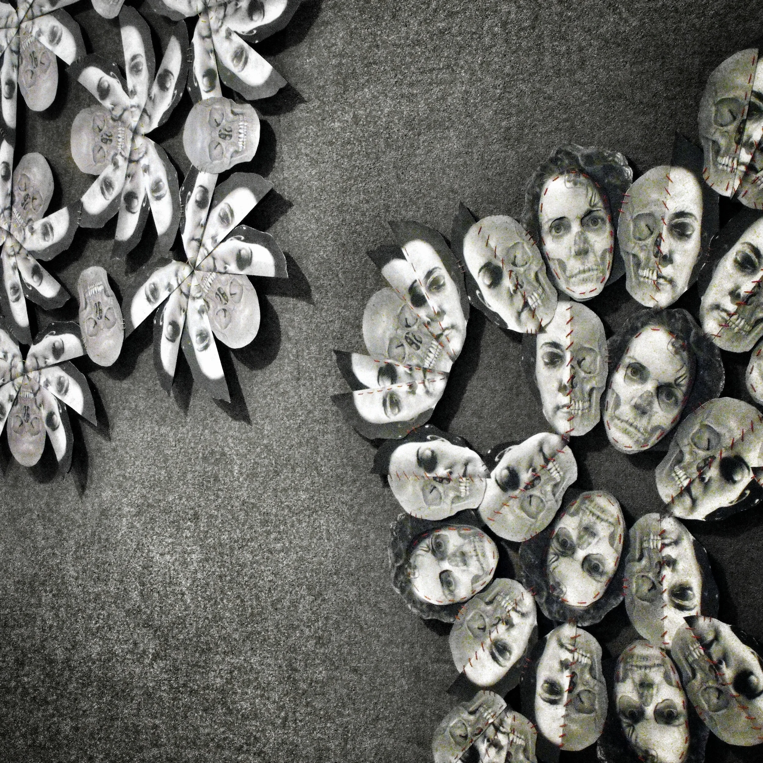 Shadow Mandalas 2014