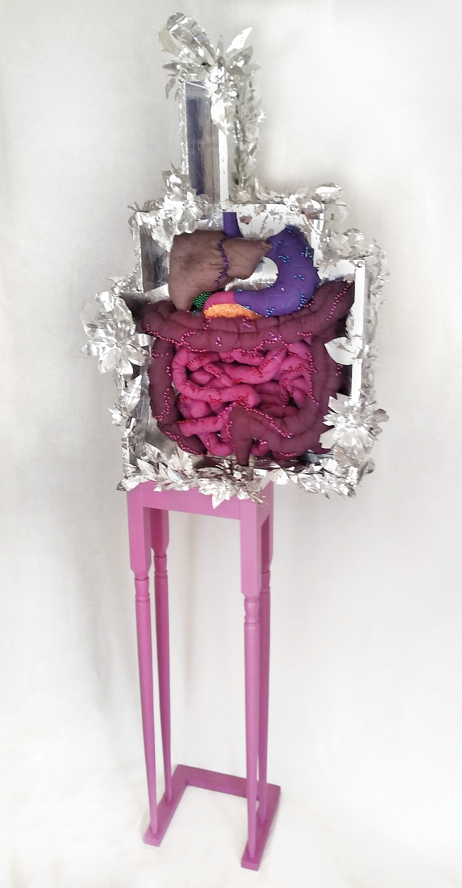 The Digestive Tract 2016-17
