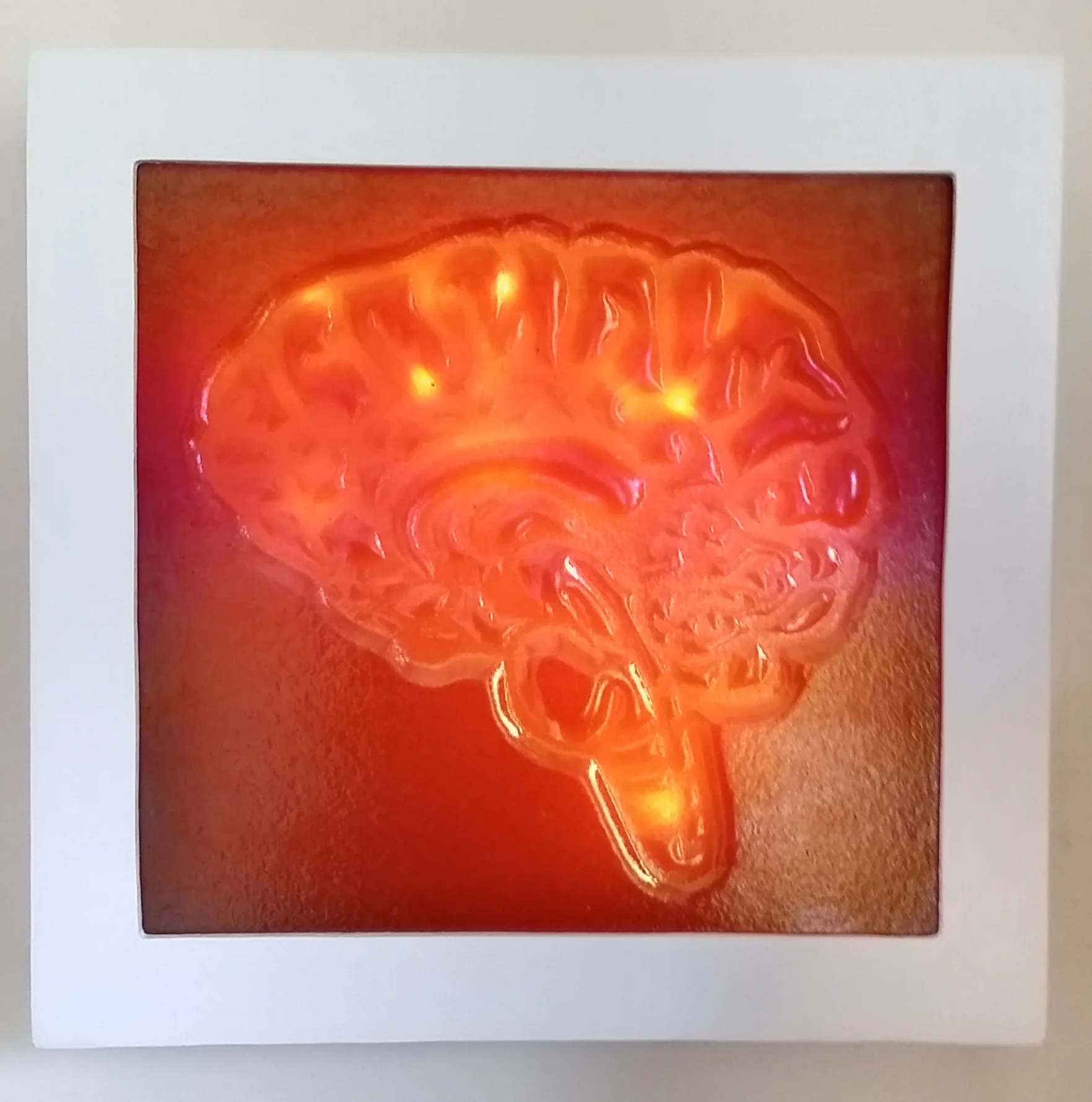 Brain (power on).jpeg