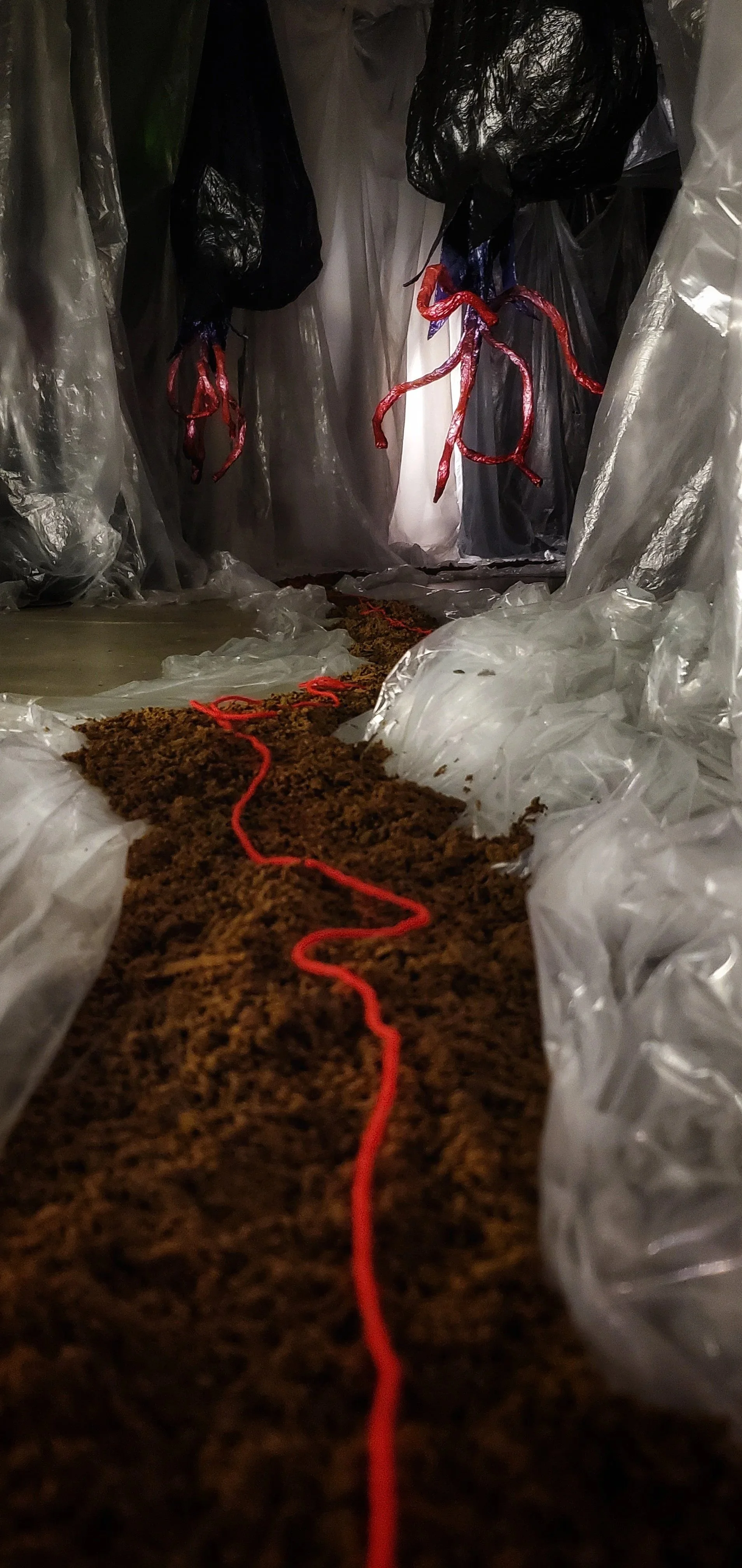 Germinal 

papier mache, foam, dirt, twine, found objects

First Installation View at Emergent Arts in Hot Springs, AR. Collaboration with performing artist, Bai Mros. 2023

Second Installation View at Ouachita Baptist University in Arkadelphia, AR. 