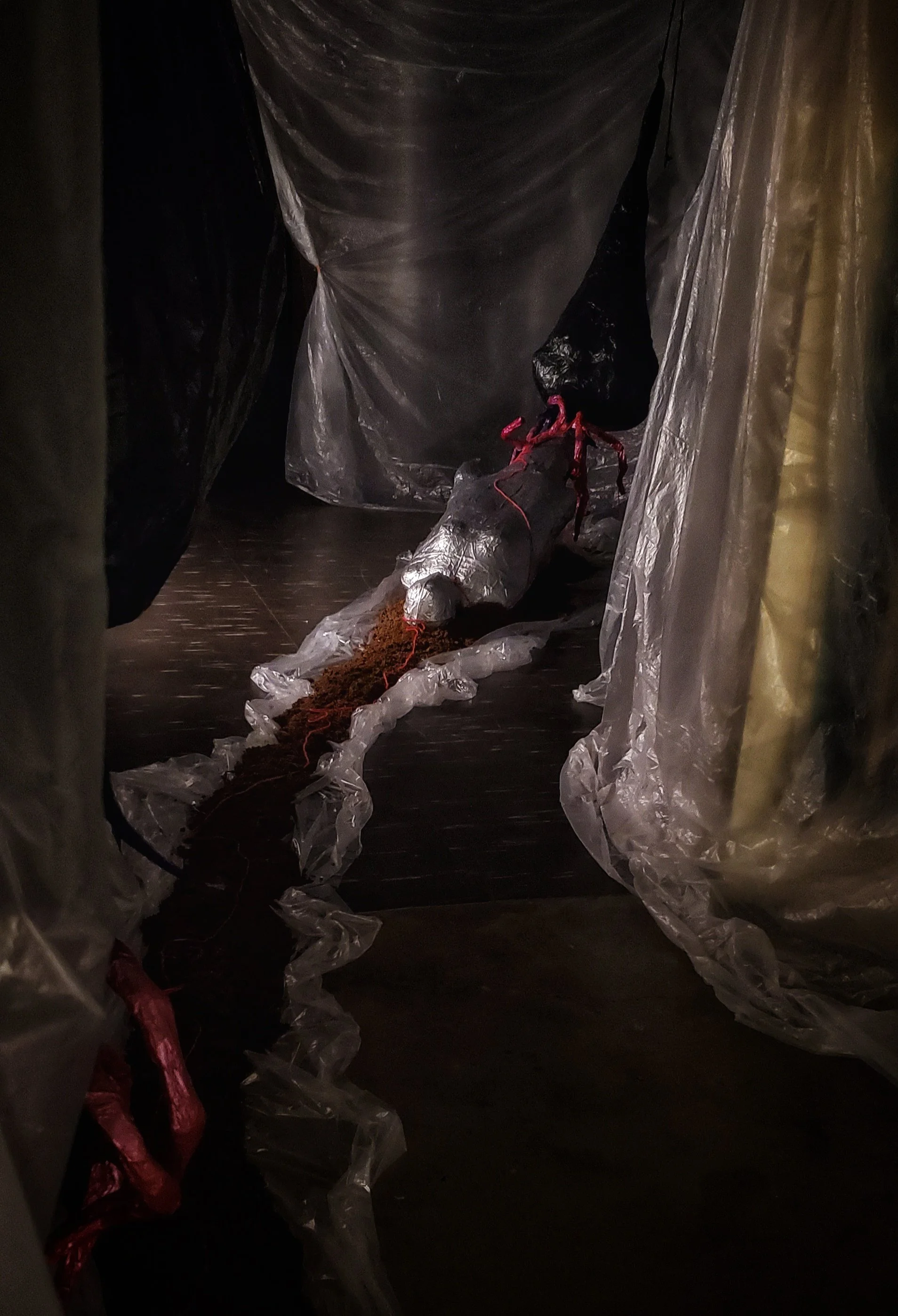 Germinal 

papier mache, foam, dirt, twine, found objects

First Installation View at Emergent Arts in Hot Springs, AR. Collaboration with performing artist, Bai Mros. 2023

Second Installation View at Ouachita Baptist University in Arkadelphia, AR. 