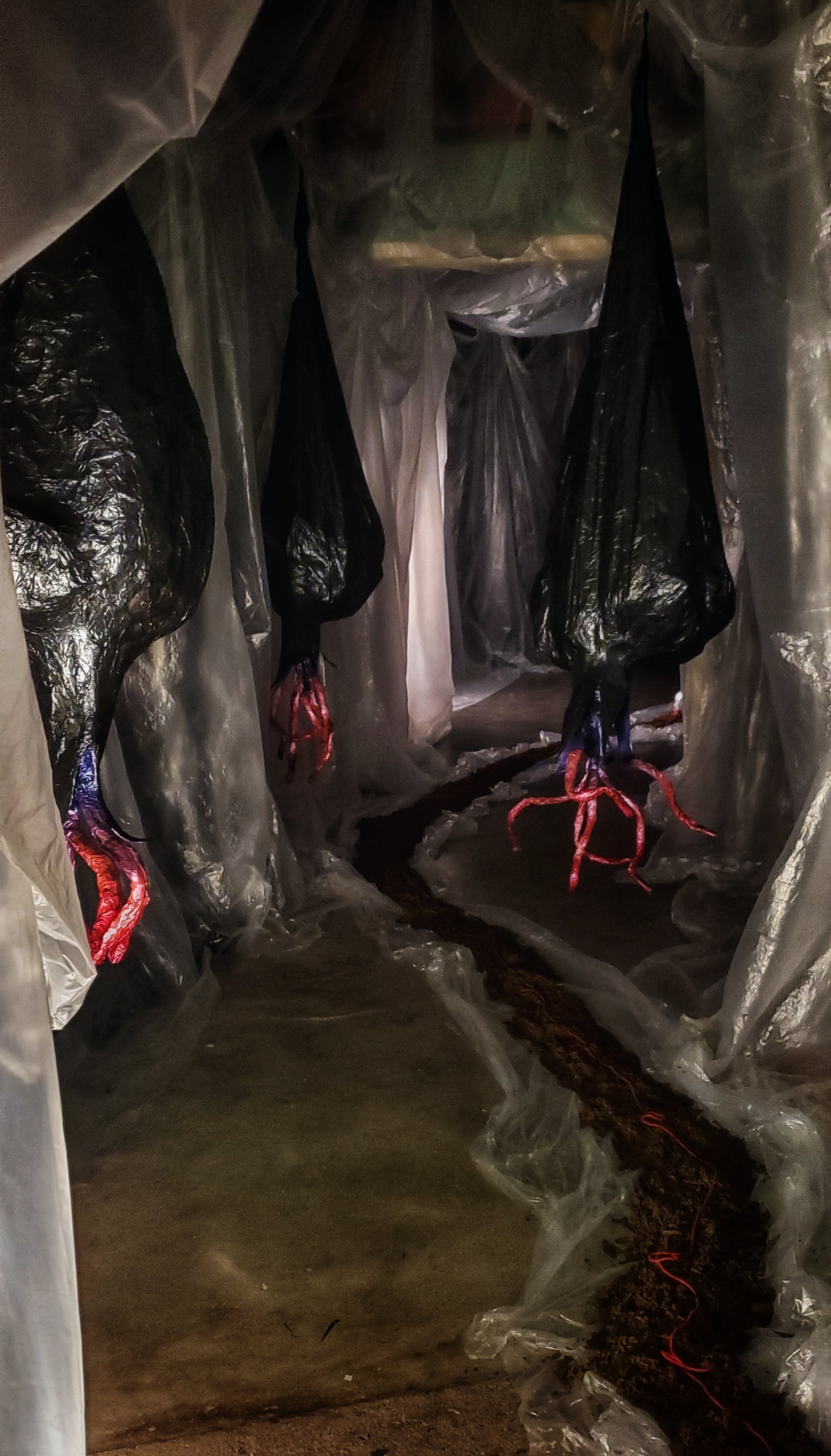 Germinal 

papier mache, foam, dirt, twine, found objects

First Installation View at Emergent Arts in Hot Springs, AR. Collaboration with performing artist, Bai Mros. 2023

Second Installation View at Ouachita Baptist University in Arkadelphia, AR. 