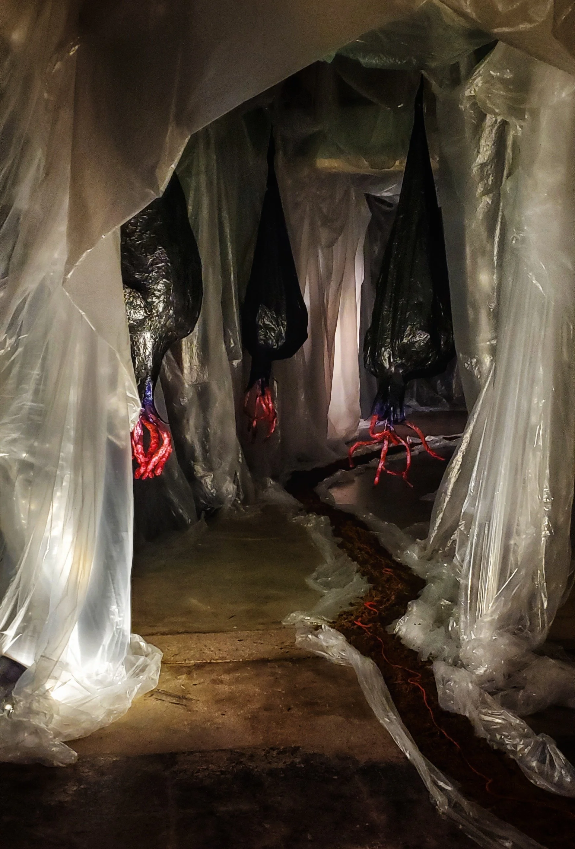 Germinal 

papier mache, foam, dirt, twine, found objects

First Installation View at Emergent Arts in Hot Springs, AR. Collaboration with performing artist, Bai Mros. 2023

Second Installation View at Ouachita Baptist University in Arkadelphia, AR. 