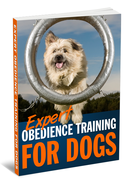 Expert-Obedience-Training-for-Dogs-3D-Large.png