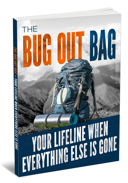 The-Bug-Out-Bag-Your-Lifeline-When-Everything-Else-is-Gone-3D-Large.png