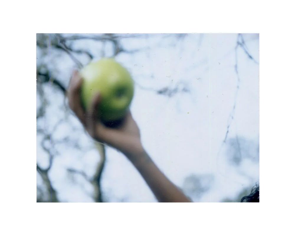 hand-and-apple.jpg