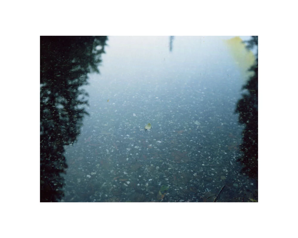 leaf-on-stream.jpg