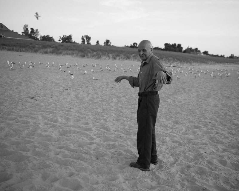  A walk at the beach ends among seagulls. 