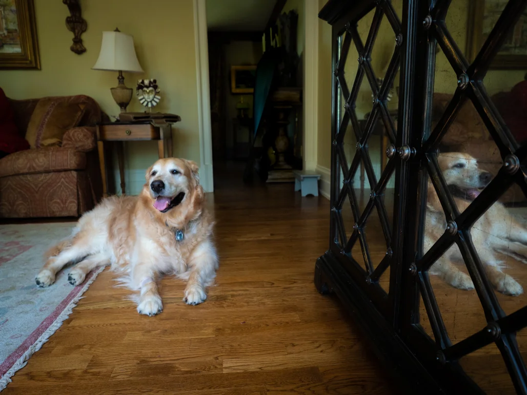 Cooper_North_4031779.jpg