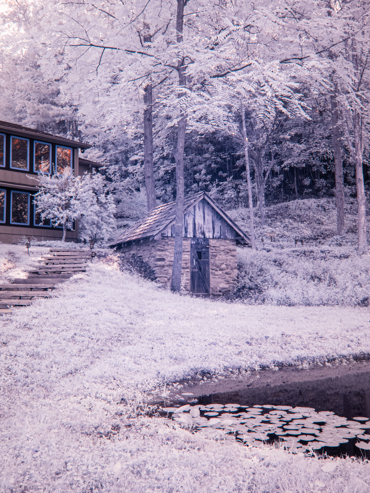 untitled--4.jpeg
