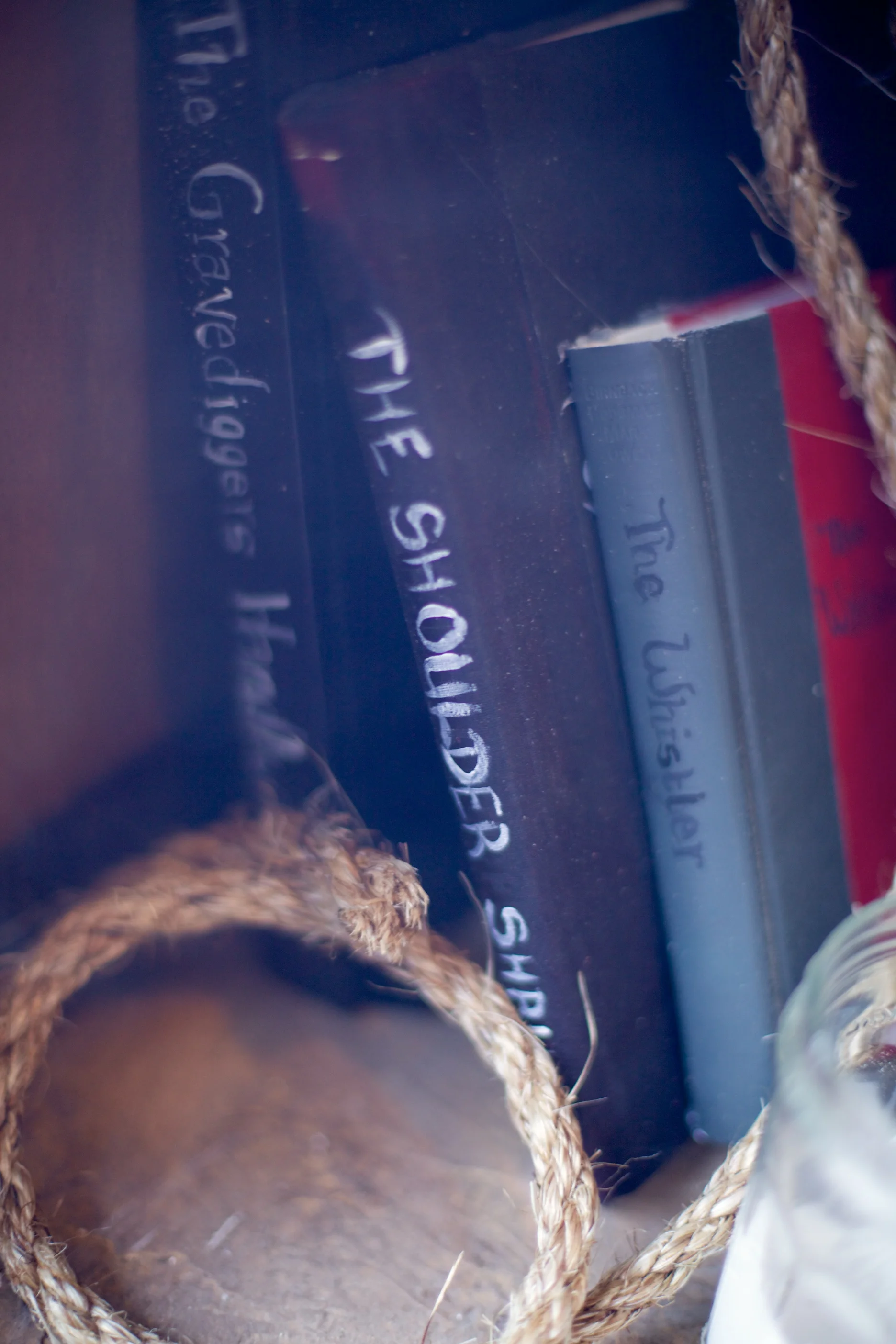 little-library-13.jpg