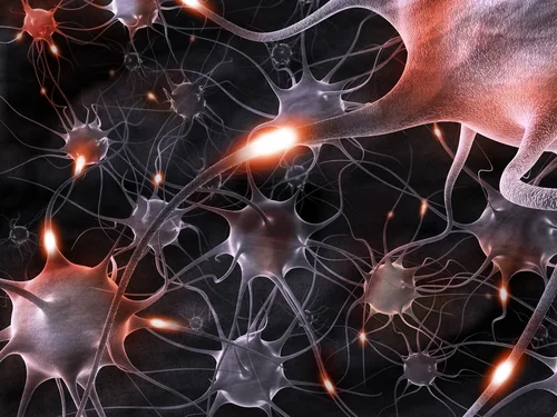 NeuronTypes138868616.jpg
