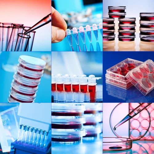 BiologyResearch131822885.jpg