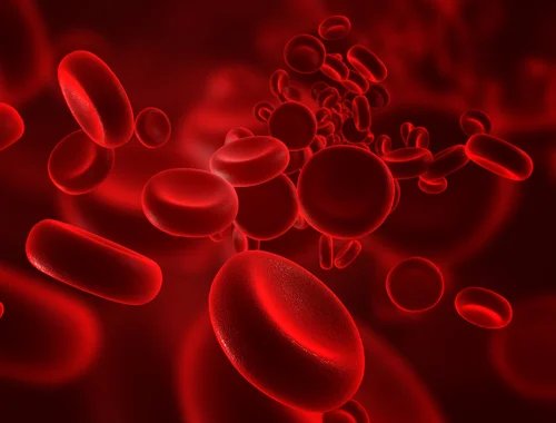Cells112184840.jpg