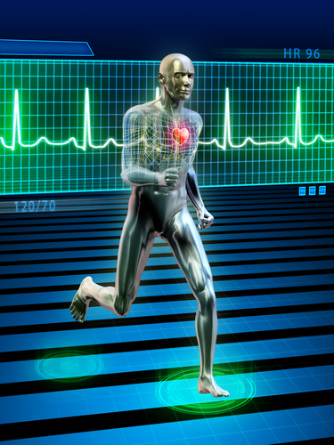 Cardiology64567651.jpg