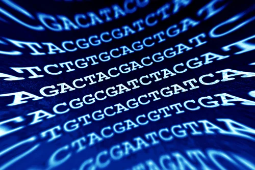 GeneticCode139406288.jpg