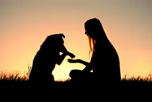OperantConditioning160530863.jpg