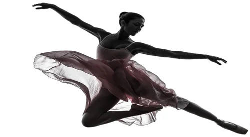 MotionWeb151520066.jpg