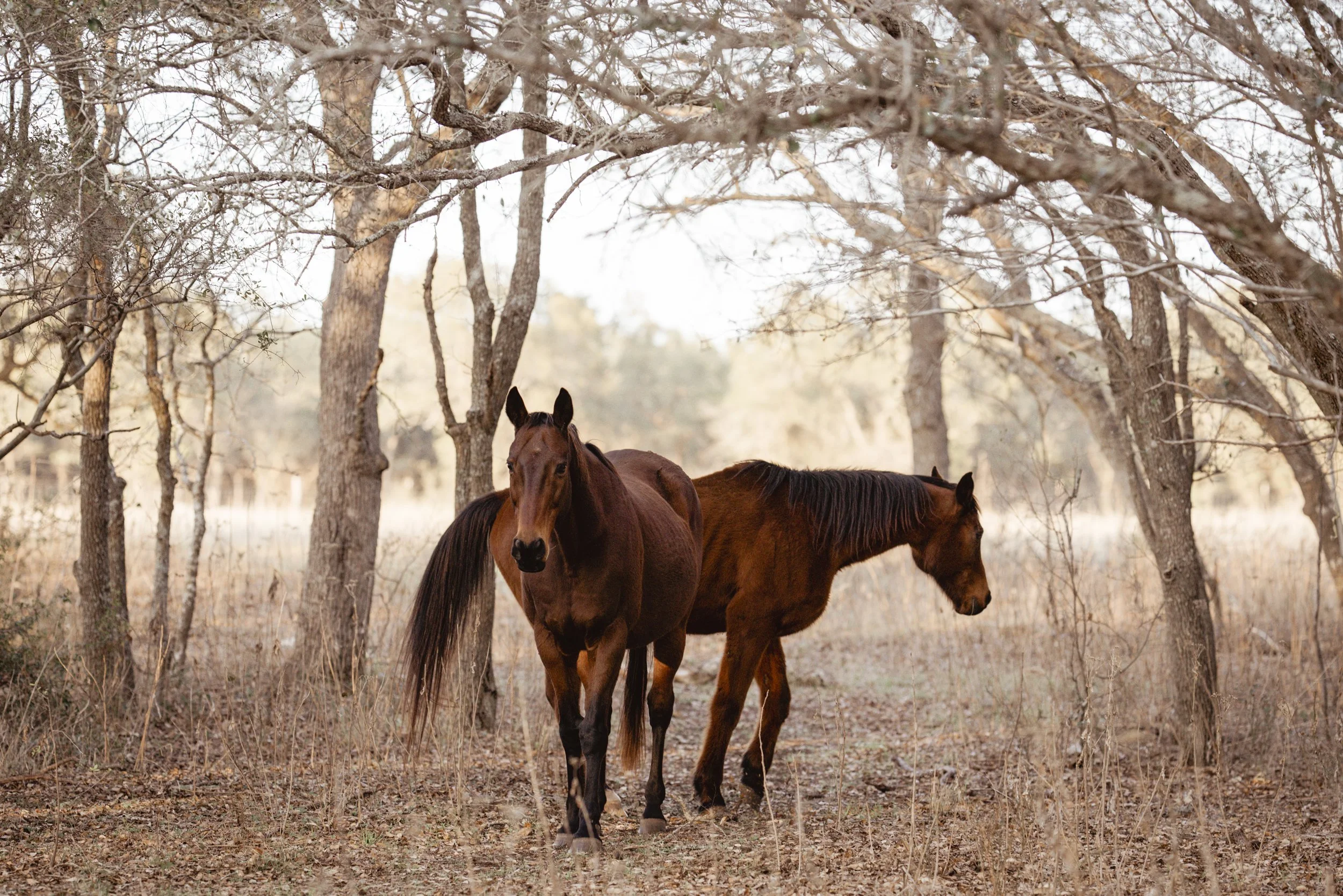 AlisonEden_021 3.jpg