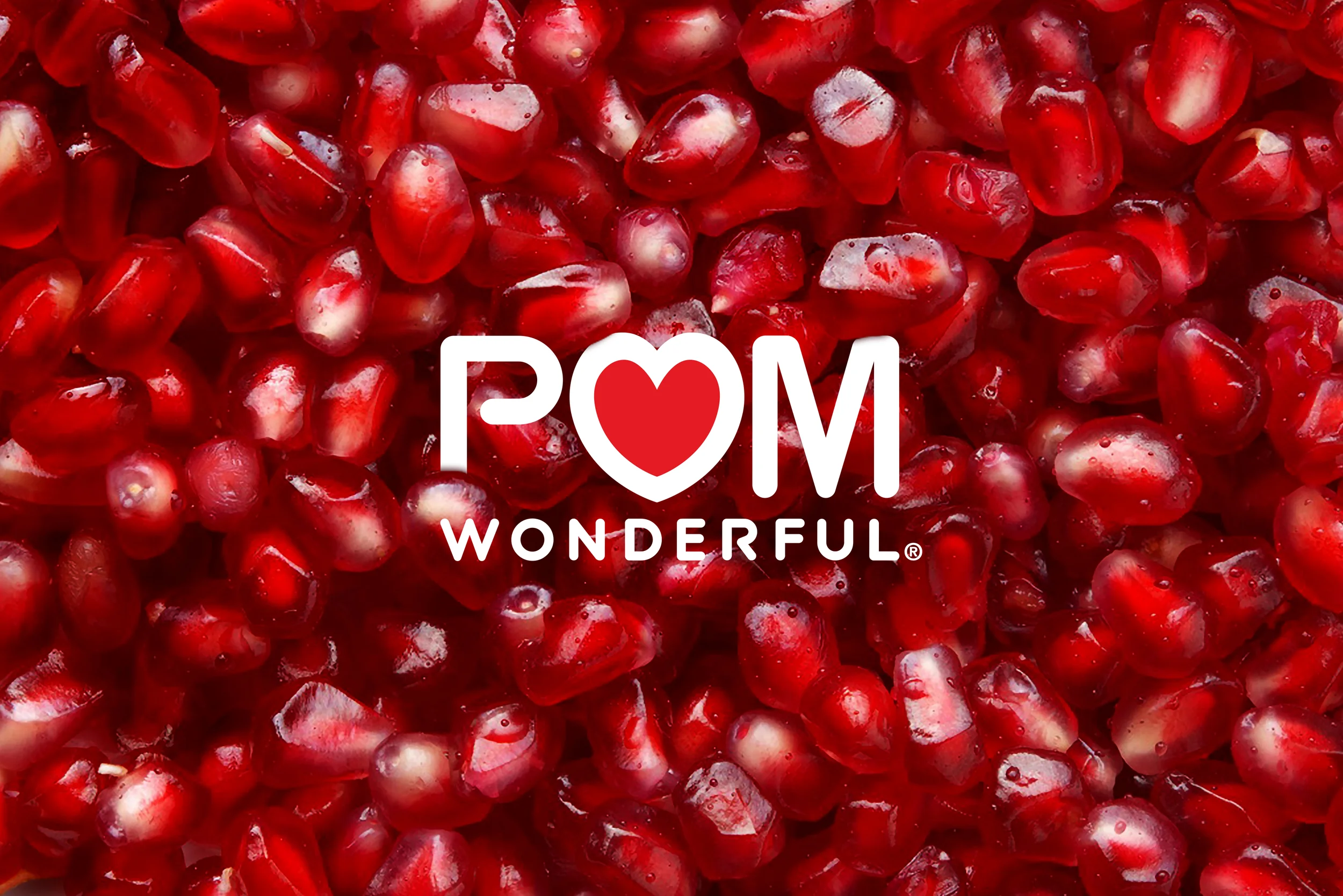 POM_cover.jpg