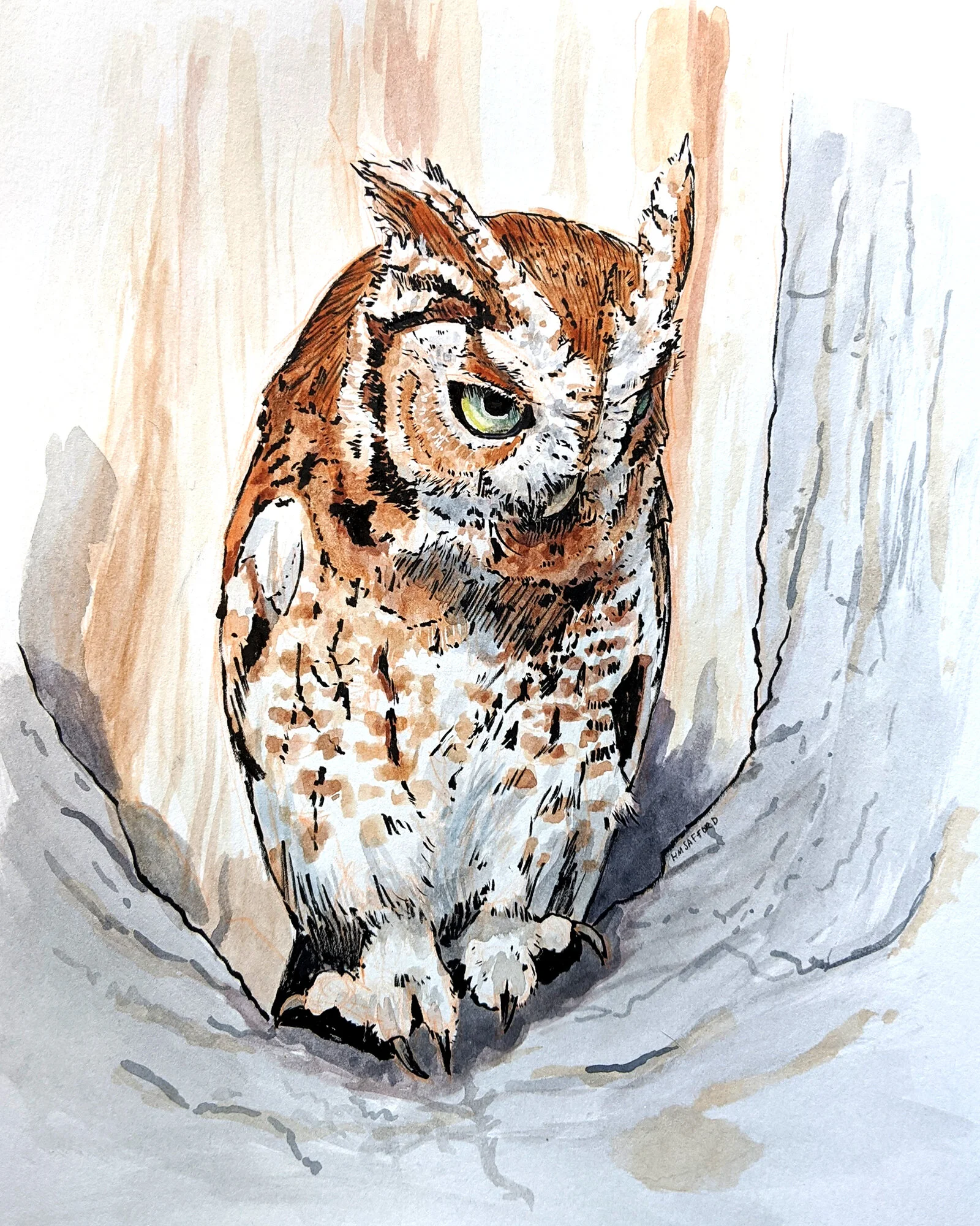 Screech Owl.jpg