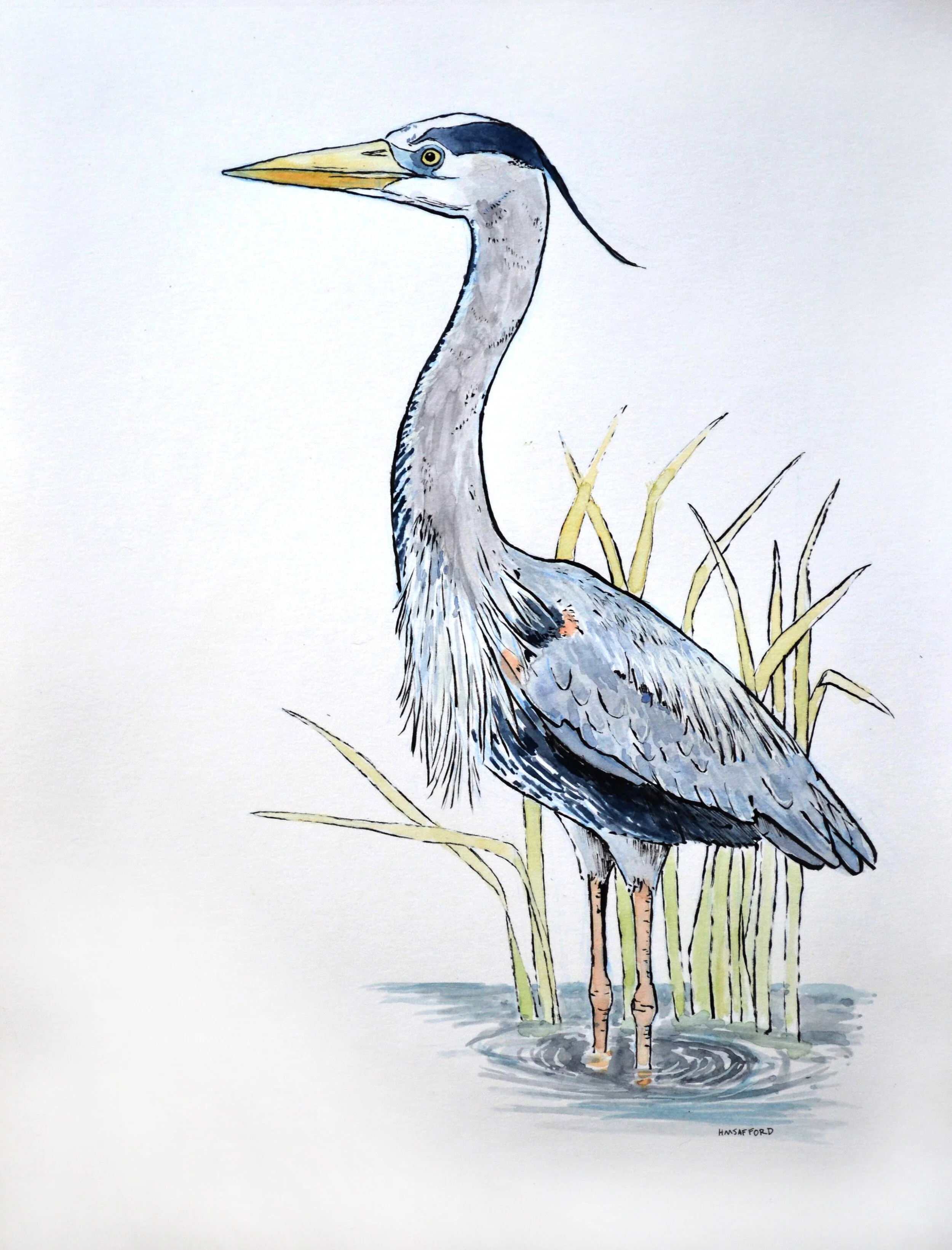 heron print.jpg