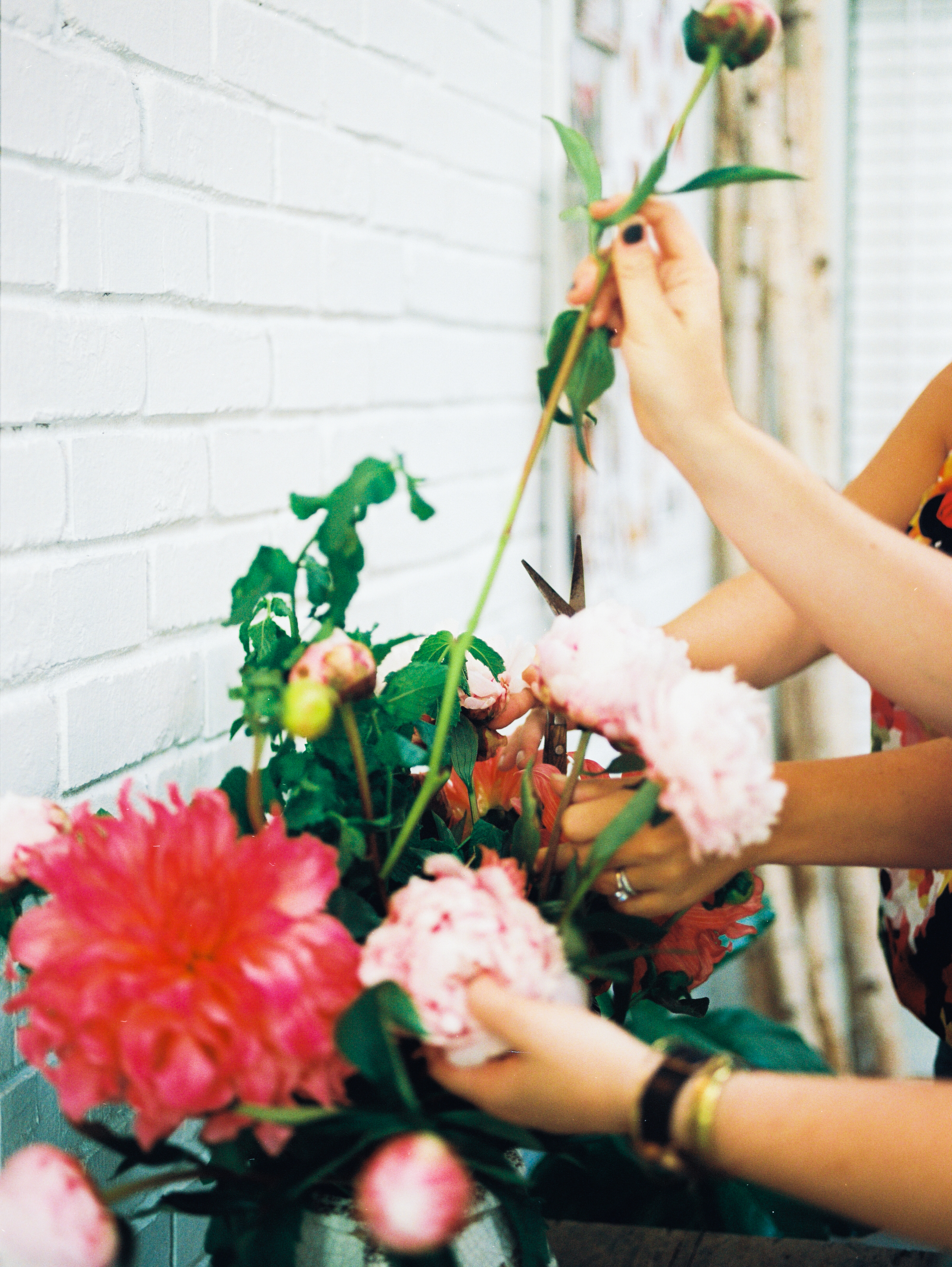 Photograph by Allison Pedigo Photography