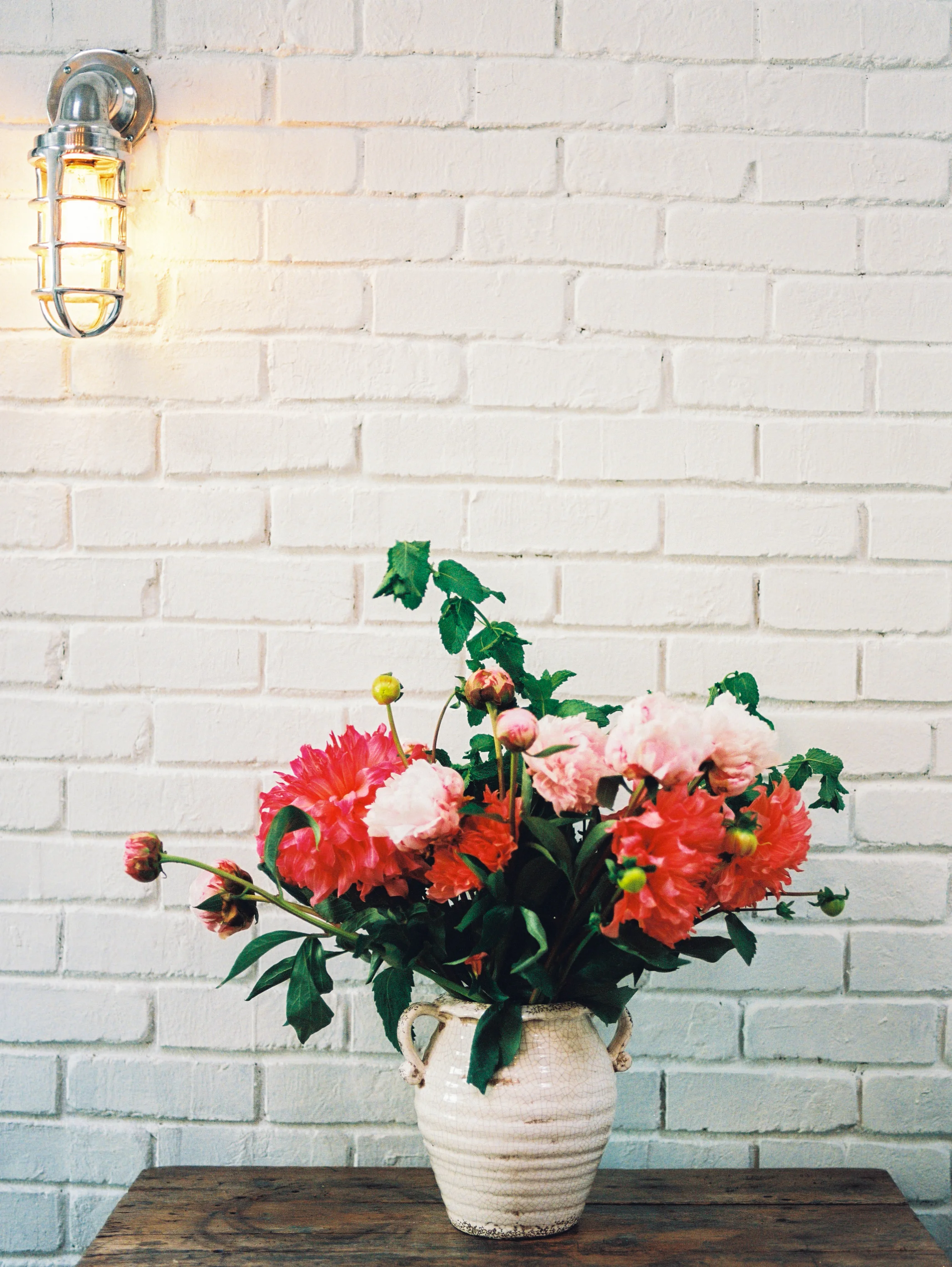 Photograph by Allison Pedigo Photography