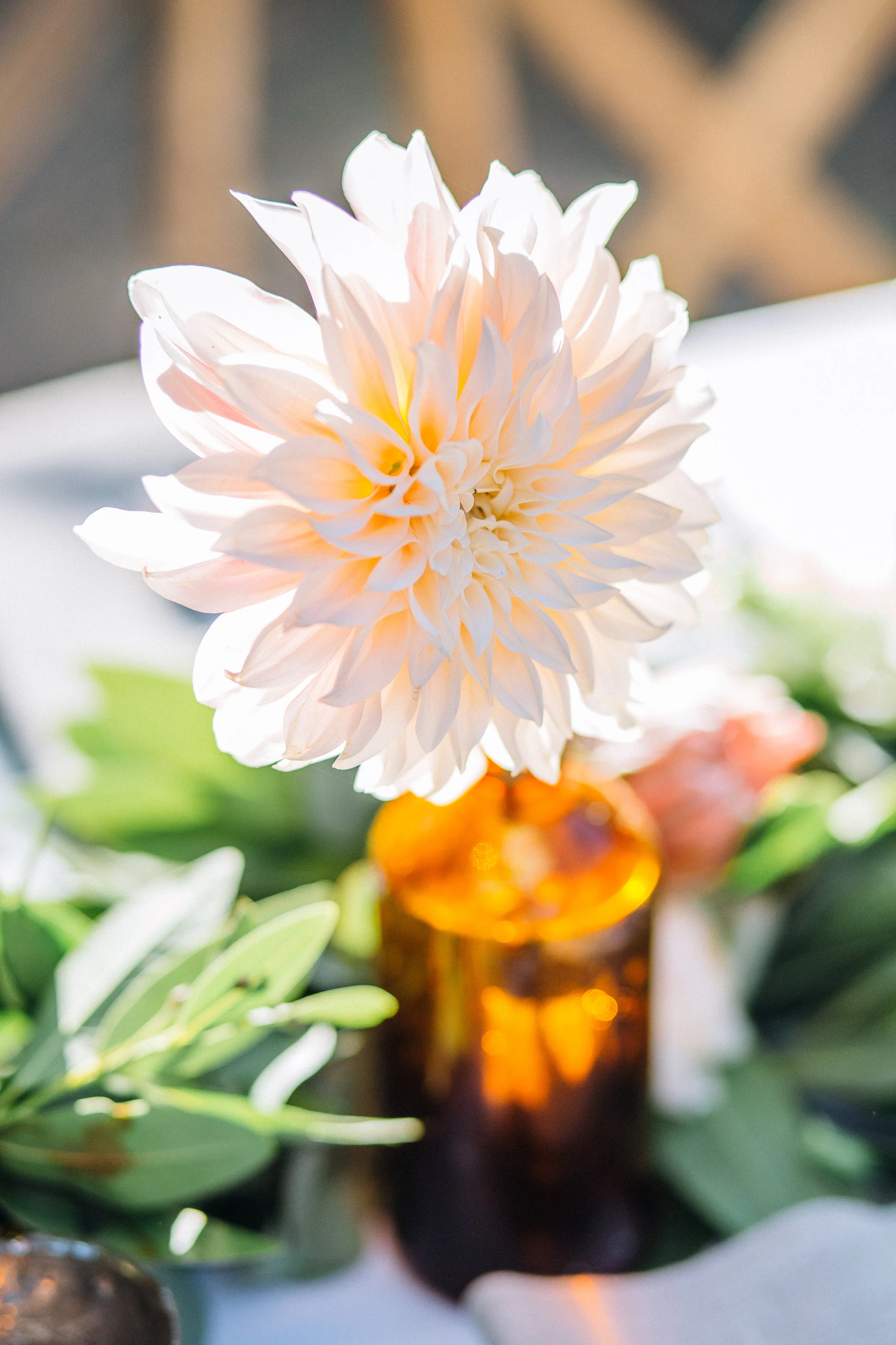 Paula Adam Wedding Print-1598.jpg