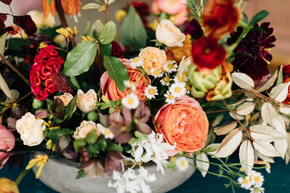 022HeatherWallPhoto620HeatherWallPhoto6Z9A1352April+30,+2017.jpg