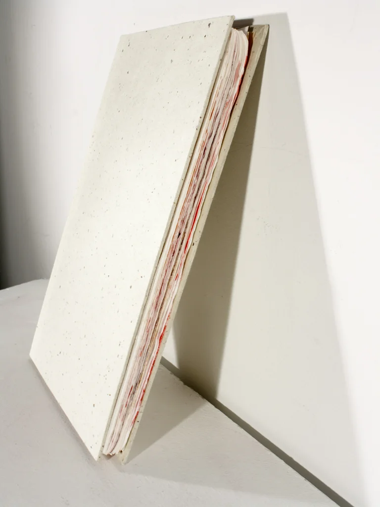 06ec2012proof copy.jpg