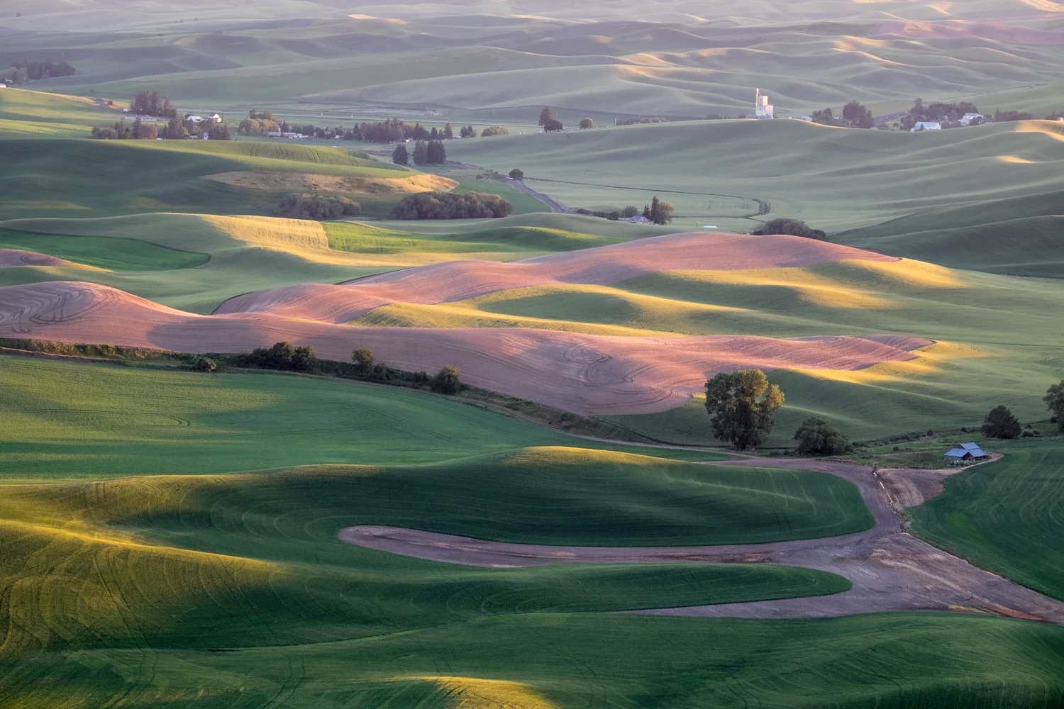 View from Steptoe Butte