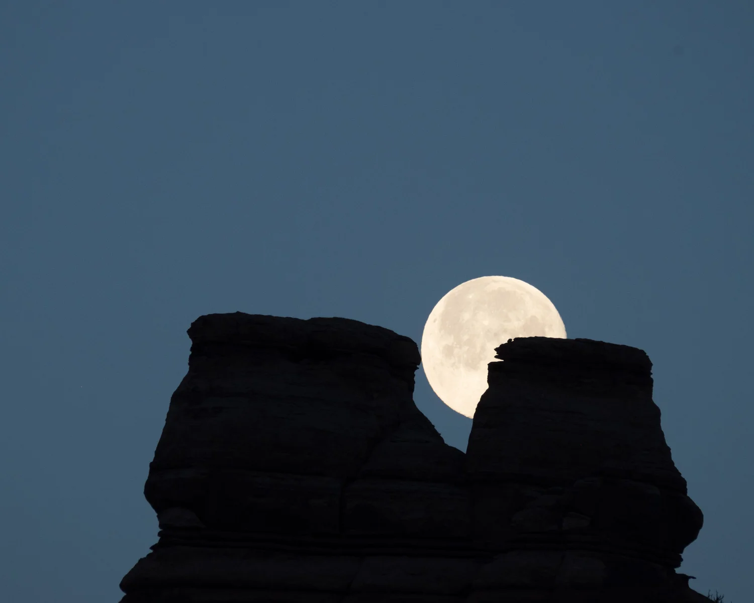 DSCF2701.jpg