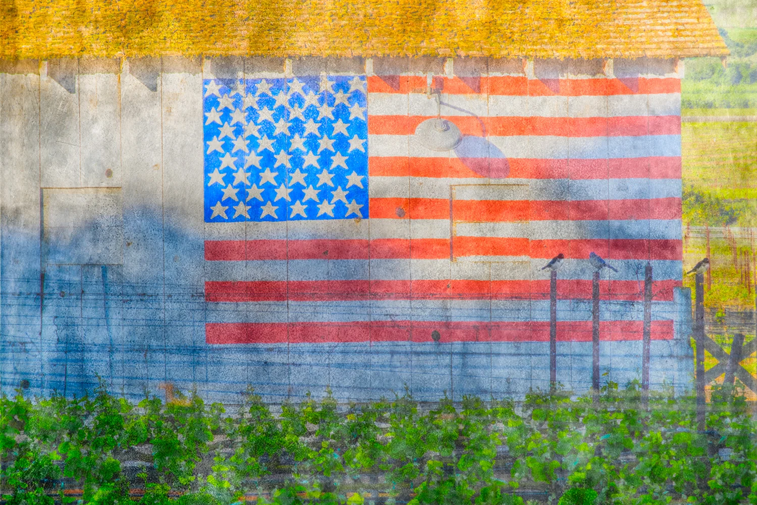 Grand Old Flag Purchase